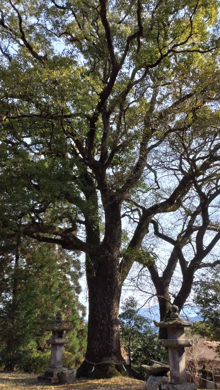 稲荷神社 宮崎県北諸県郡三股町 おまいりナビ