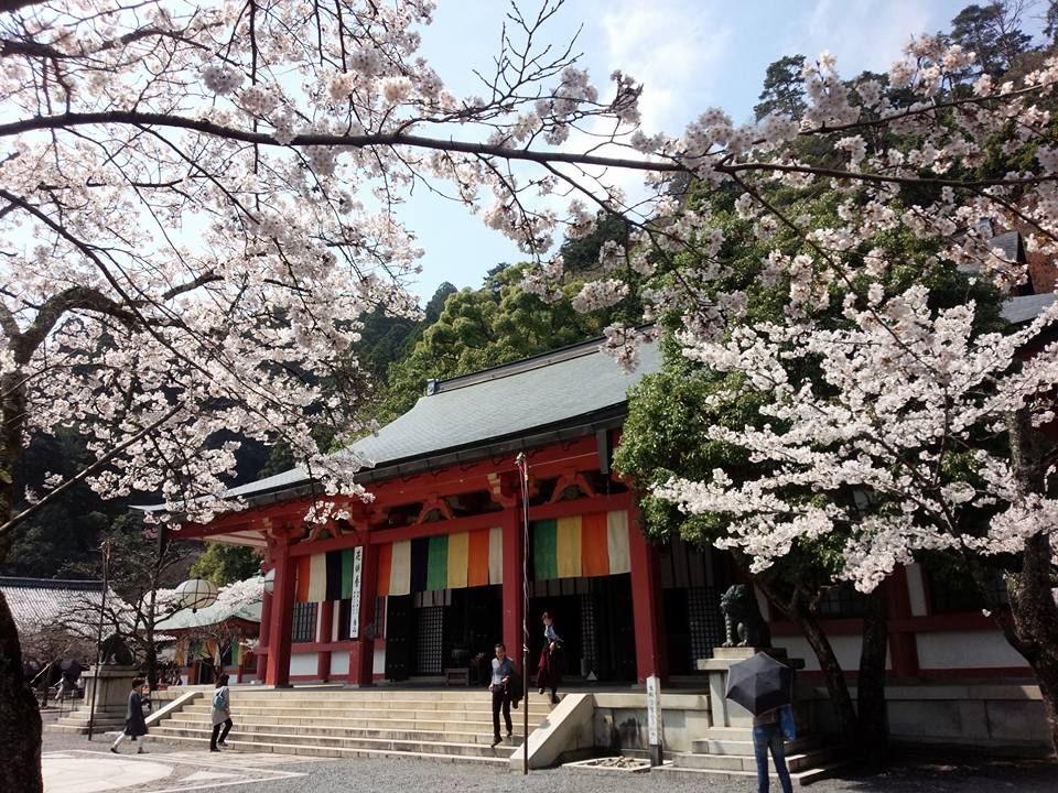 鞍馬寺 アクセス - 京都府京都市左京区 | おまいりナビ